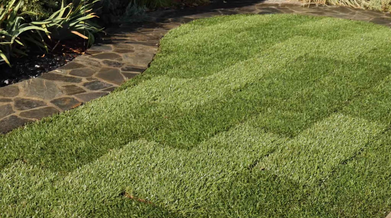 Professional lawn care and maintenance service in Pittsburg, CA
